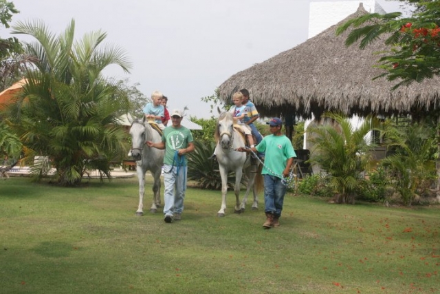 Cursos de hipica